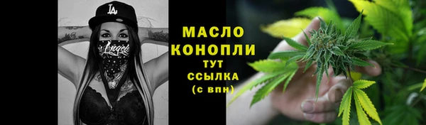спиды Гусев