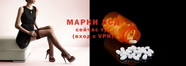 спиды Гусев