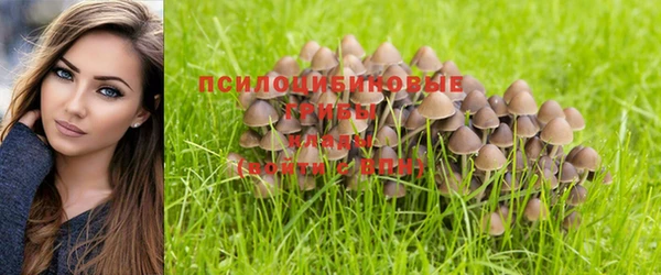 спиды Гусев