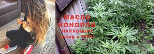 спиды Гусев