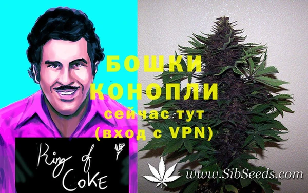 спиды Гусев