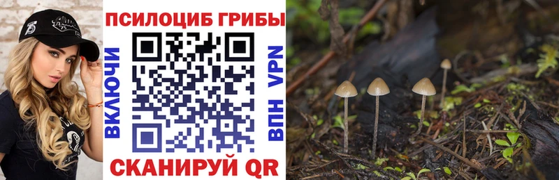 Купить Облучье Псилоцибиновые грибы GOLDEN TEACHER