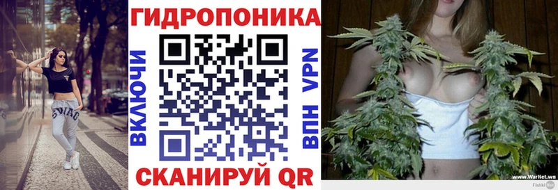 Купить закладки Облучье Марихуана SATIVA & INDICA